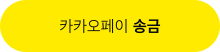 카카오페이 송금